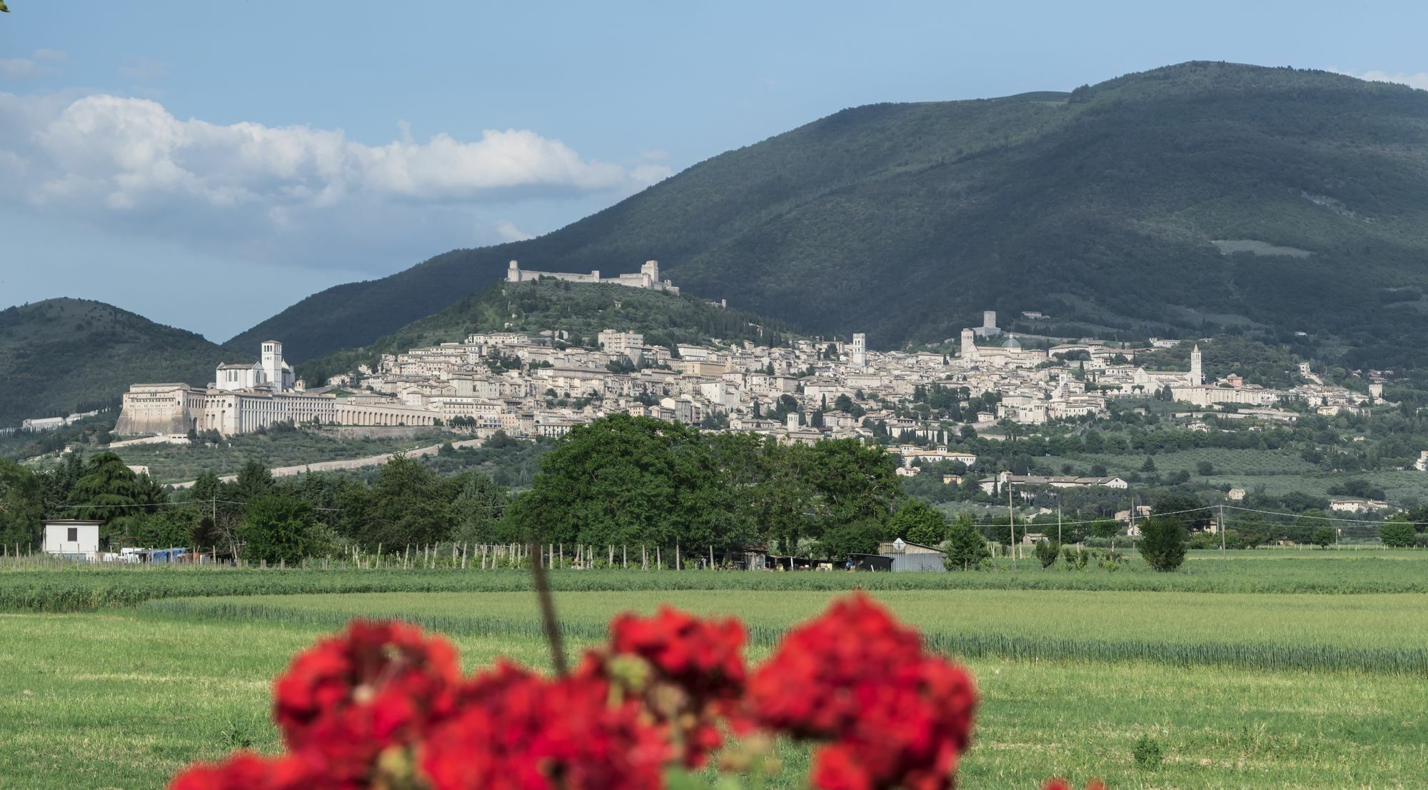 Camere Mariella Assisi Esterno foto